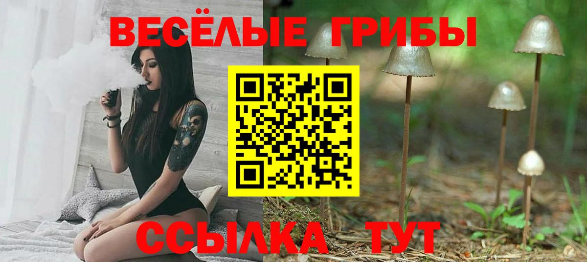 Галлюциногенные грибы мицелий  Псилоцибиновые грибы MAGIC MUSHROOMS  Вход с VPN  купить  цена  Вязьма 