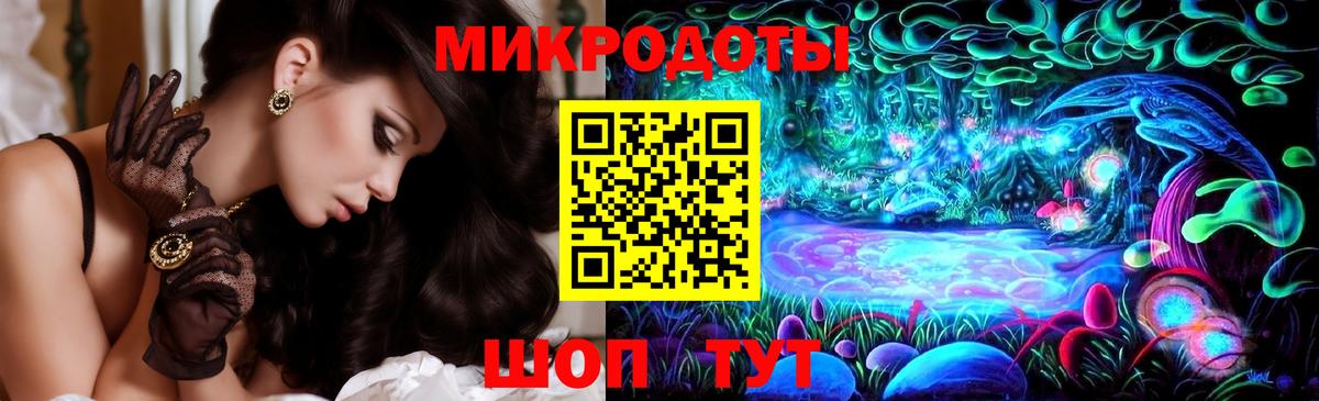 Галлюциногенные грибы Psilocybe Вязьма